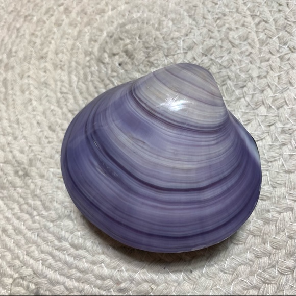 Purple Shell Jewelry Trinket Container - Picture 9 of 12
